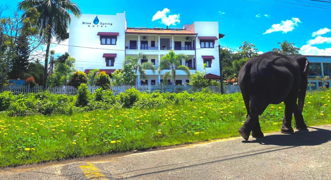 Blue Spring Hotel Wadduwa Exteriér fotografie